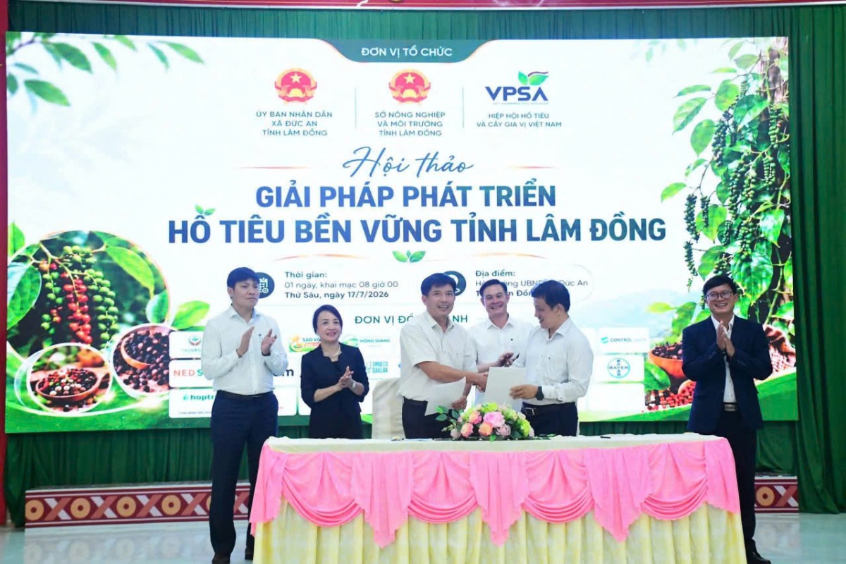 Tổ chức Hội thảo giải pháp phát triển hồ tiêu bền vững tỉnh Lâm Đồng