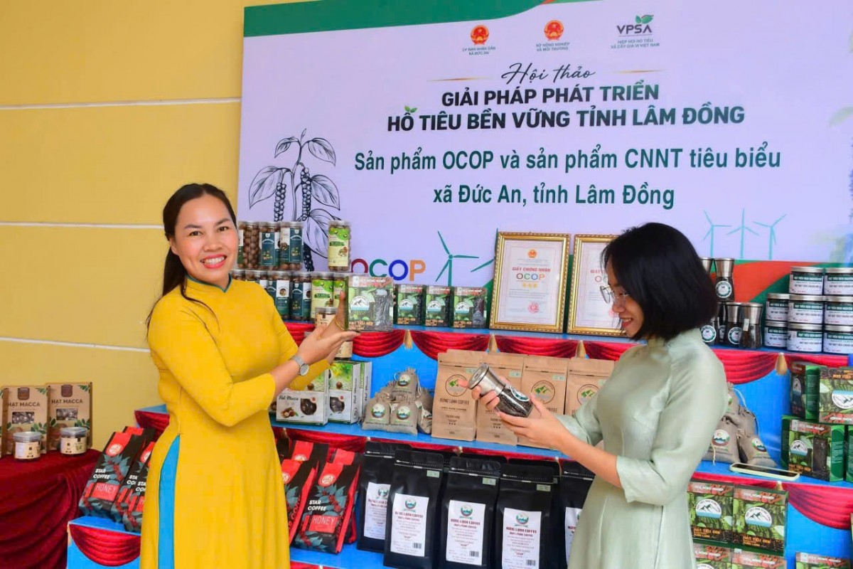 Tổ chức Hội thảo giải pháp phát triển hồ tiêu bền vững tỉnh Lâm Đồng Tổ chức Hội thảo giải pháp phát triển hồ tiêu bền vững tỉnh Lâm Đồng