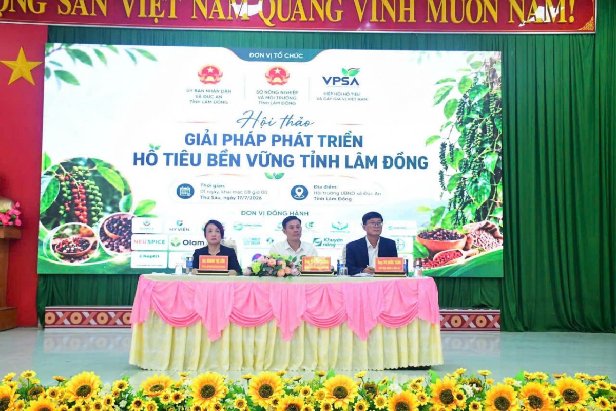 Tổ chức Hội thảo giải pháp phát triển hồ tiêu bền vững tỉnh Lâm Đồng Tổ chức Hội thảo giải pháp phát triển hồ tiêu bền vững tỉnh Lâm Đồng