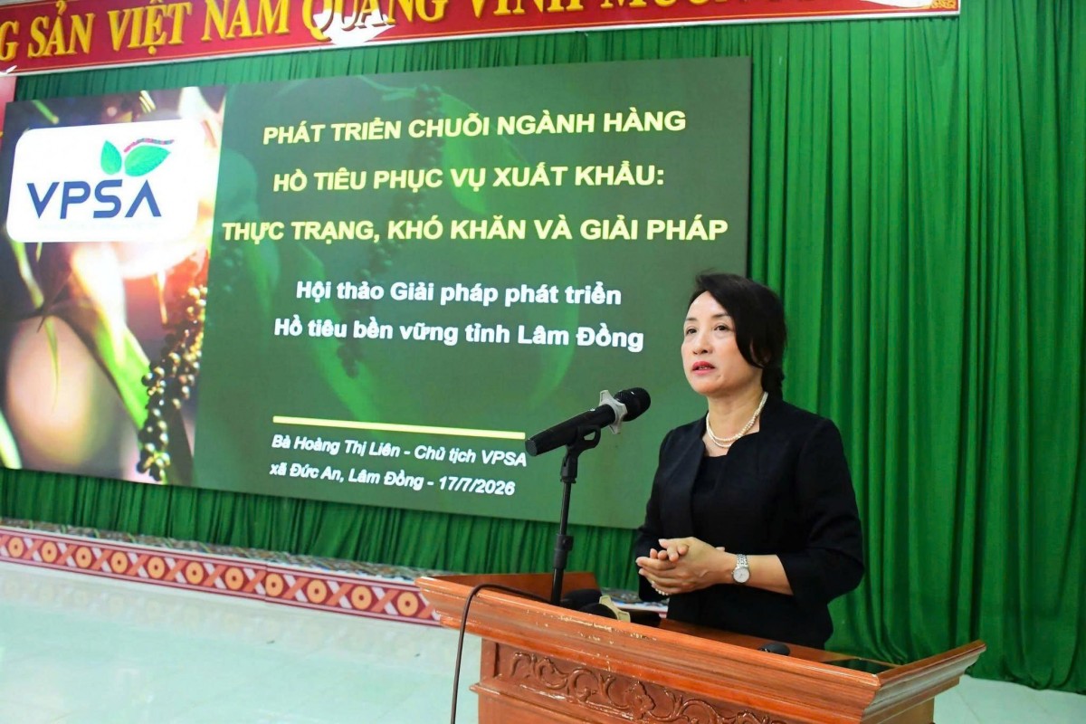 Tổ chức Hội thảo giải pháp phát triển hồ tiêu bền vững tỉnh Lâm Đồng Tổ chức Hội thảo giải pháp phát triển hồ tiêu bền vững tỉnh Lâm Đồng