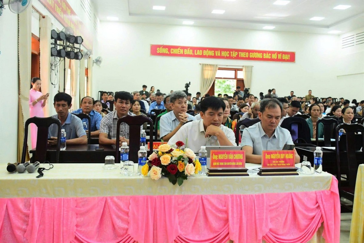 Tổ chức Hội thảo giải pháp phát triển hồ tiêu bền vững tỉnh Lâm Đồng Tổ chức Hội thảo giải pháp phát triển hồ tiêu bền vững tỉnh Lâm Đồng