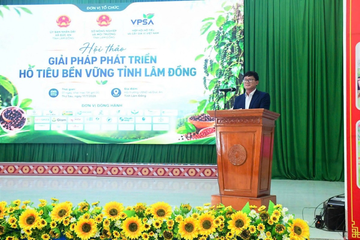 Tổ chức Hội thảo giải pháp phát triển hồ tiêu bền vững tỉnh Lâm Đồng Tổ chức Hội thảo giải pháp phát triển hồ tiêu bền vững tỉnh Lâm Đồng