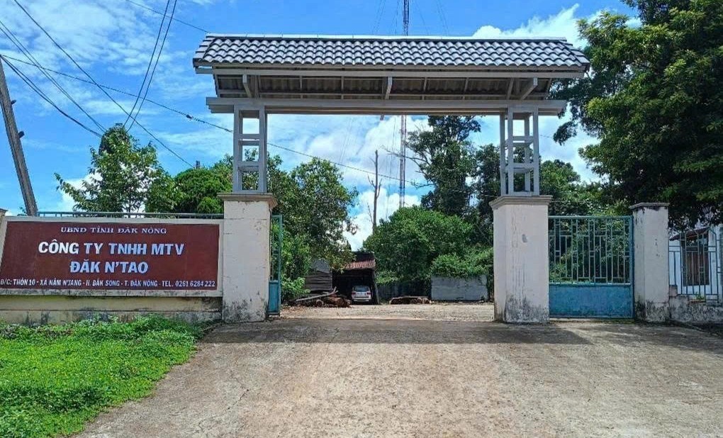 Nhiều bất cập trong công tác quản lý, bảo vệ rừng ở Công ty TNHH MTV Lâm nghiệp Đắk N’Tao