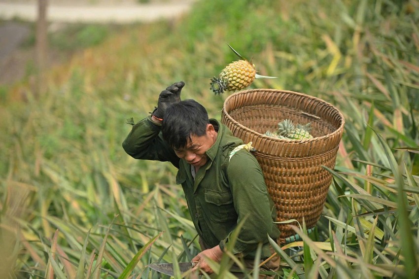 Điện Biên: Xã Na Sang 