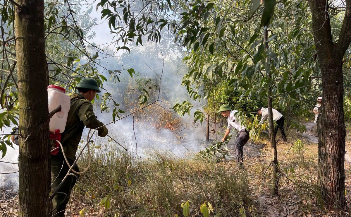 cháy rừng