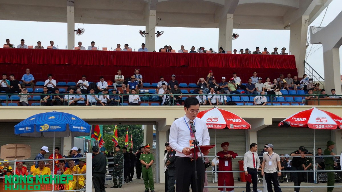 Hải Phòng: Bùng nổ không khí vòng đấu loại Lễ hội Chọi trâu Đồ Sơn năm 2026