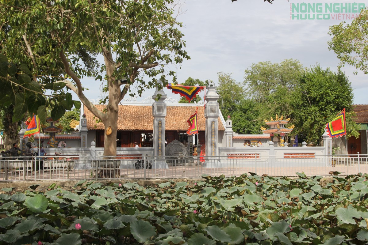 Lễ hội Đền Hoàng Tá Thốn năm 2026 – Nơi hội tụ truyền thống và bản sắc quê hương