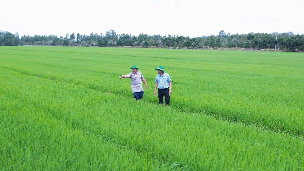 Làm giàu nhờ đổi mới tư duy trên vùng đất phèn