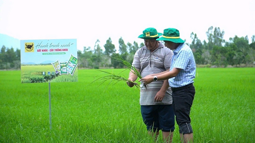 Làm giàu nhờ đổi mới tư duy trên vùng đất phèn