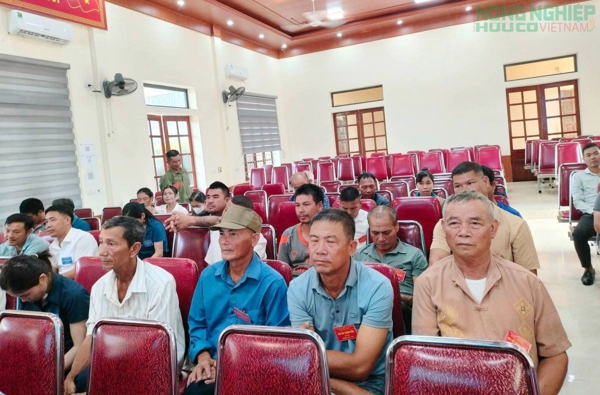 Nghệ An: Thành lập HTX nuôi trồng, chế biến và kinh doanh Ốc bươu đen Bình Minh
