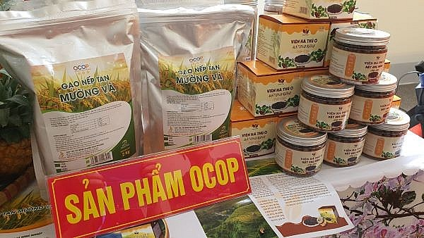 Thực trạng và giải pháp phát triển sản phẩm OCOP ở Việt Nam