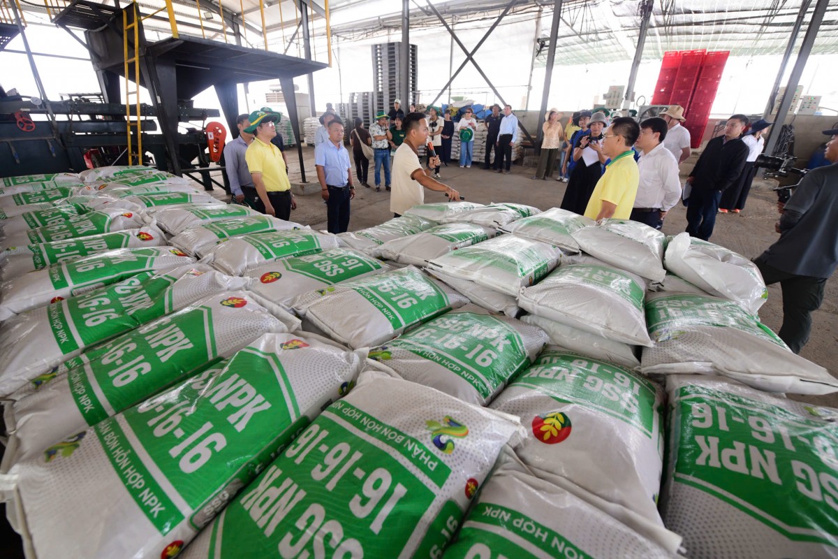 Phân Bón Cà Mau nâng tầm giá trị mới cho cà phê Robusta Việt