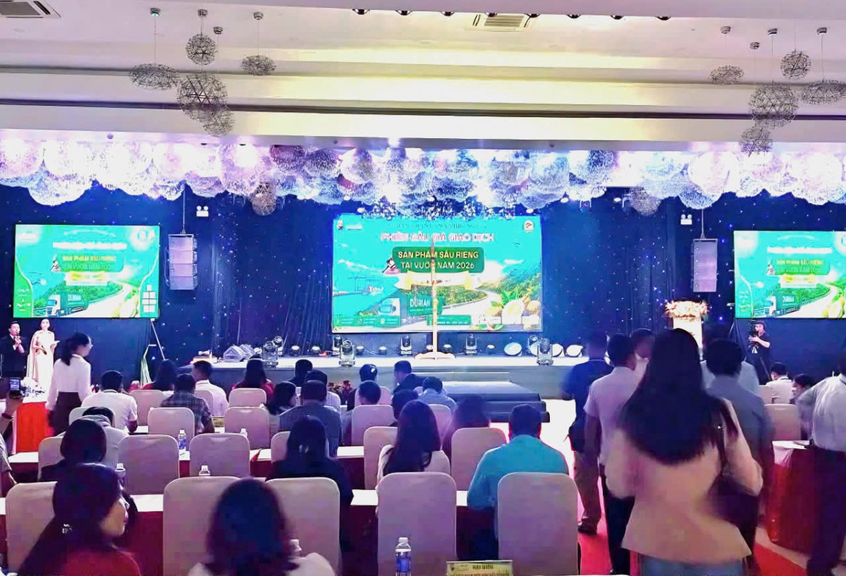 Đắk Lắk lần đầu tiên tổ chức phiên đấu giá giao dịch thành công lô sầu riêng gần 24 tỷ