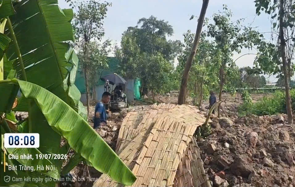 Nhận diện 