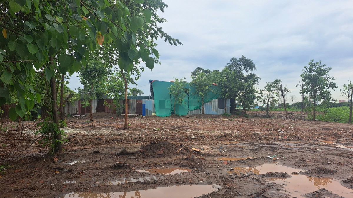 Nhận diện 