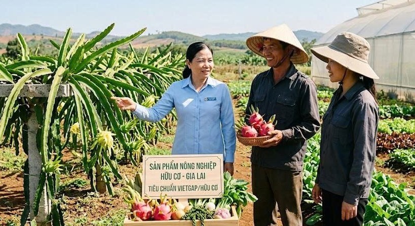 gia lai de cu ton vinh tap the ca nhan dien hinh tien tien vi su nghiep phat trien nong nghiep huu co