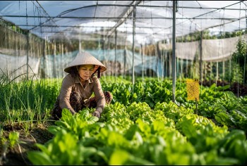 Đề cử điển hình tiên tiến góp sức phát triển nông nghiệp hữu cơ toàn quốc