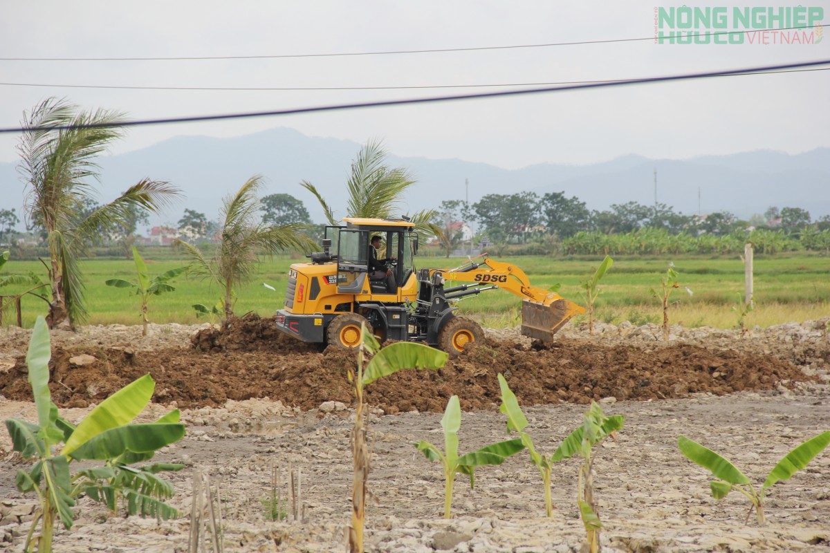 Nghệ An: Xử phạt hộ dân san lấp đất nông nghiệp trái phép 70 triệu đồng
