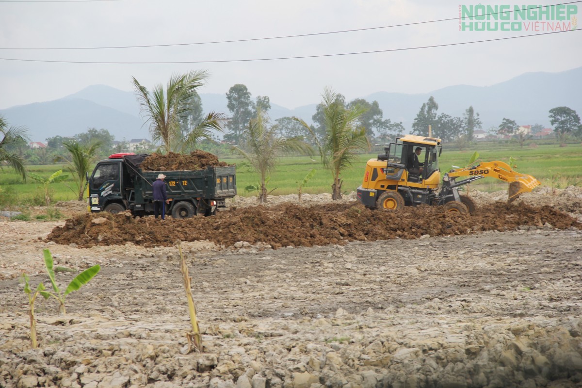 Nghệ An: Xử phạt hộ dân san lấp đất nông nghiệp trái phép 70 triệu đồng