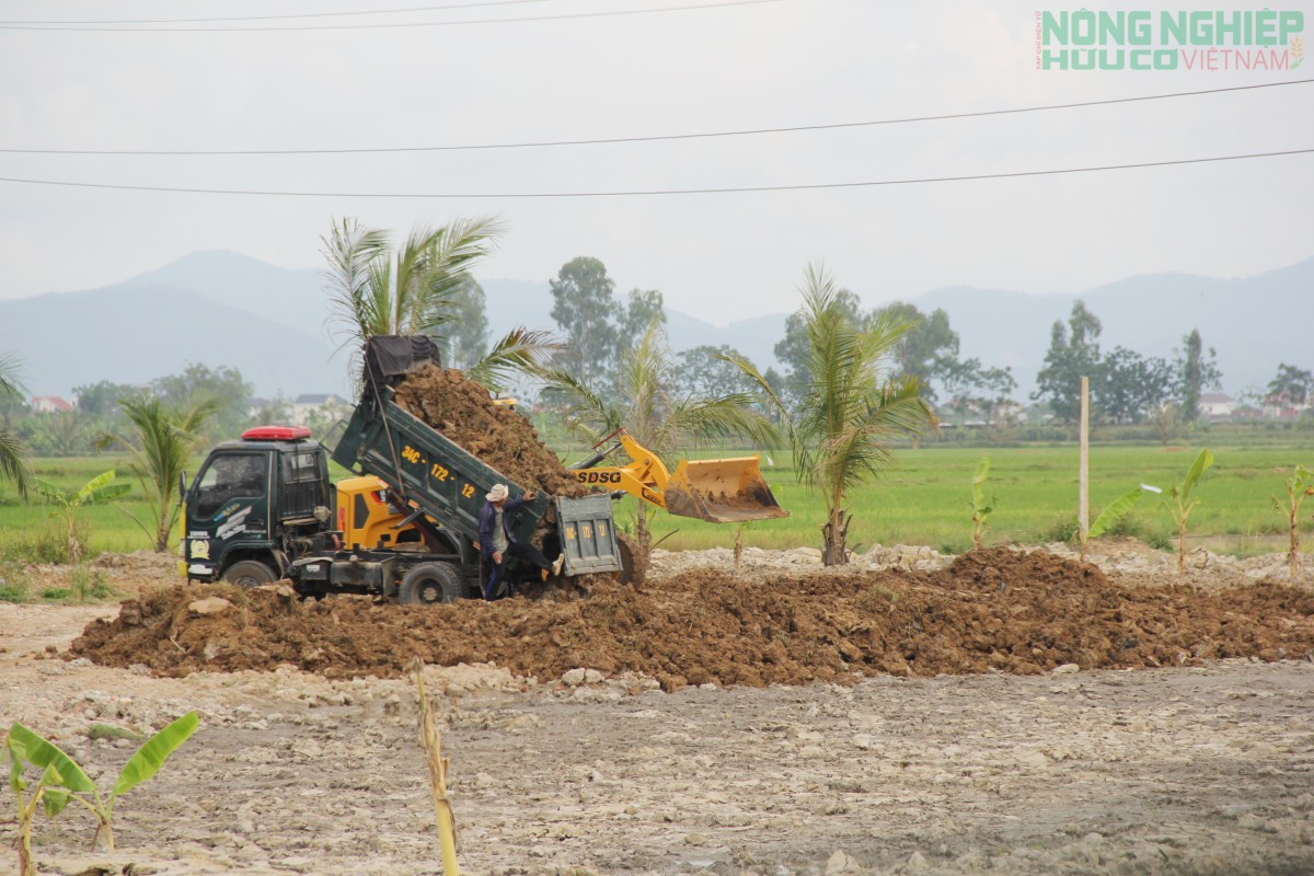 Vụ san lấp đất nông nghiệp trái phép ở xã Quảng Châu: Sẽ hoàn thiện hồ sơ để xử lý vi phạm
