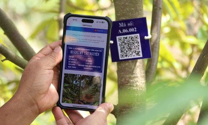 Tăng cường triển khai cấp mã số vùng trồng, cơ sở đóng gói, mở rộng cơ hội xuất khẩu