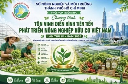 tphcm trien khai de cu dien hinh tien tien phat trien nong nghiep huu co viet nam nam 2026