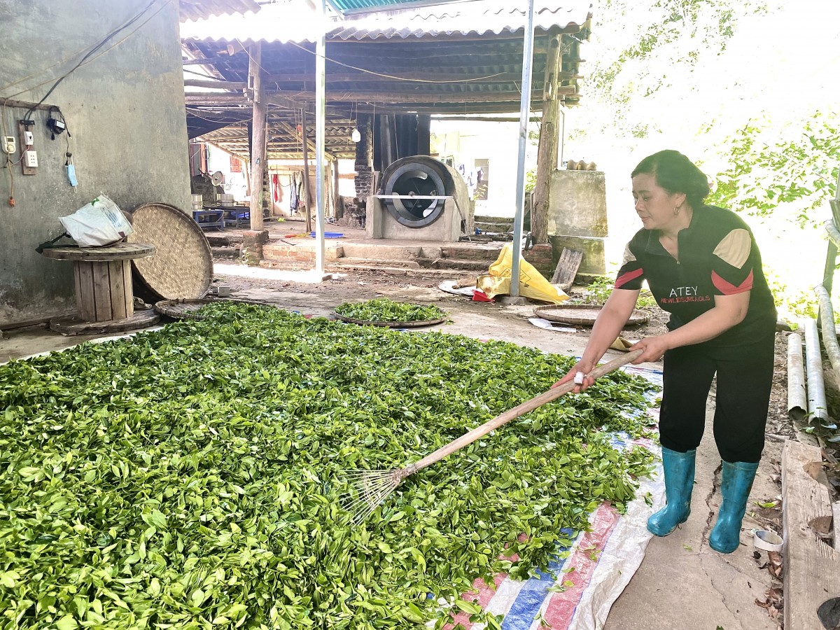 Nữ Bí thư chi bộ, Trưởng xóm năng động làm giàu trên chính quê hương