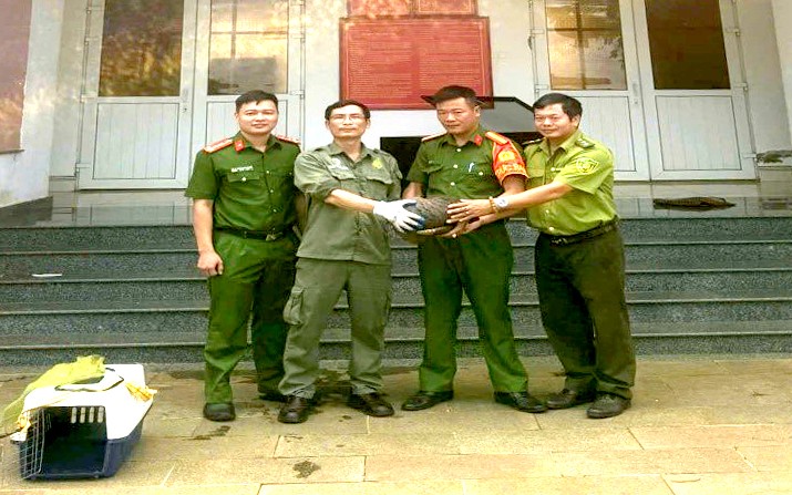 Đồng Nai: Người dân giao nộp cá thể tê tê quý hiếm sau khi phát hiện bên đường