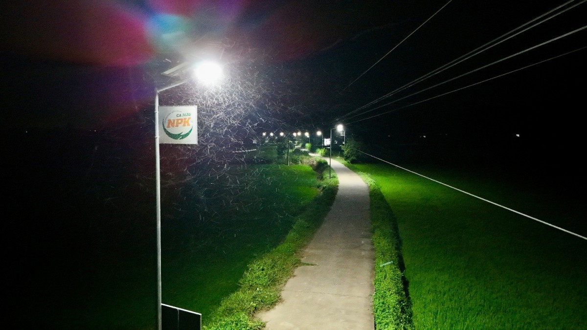 Phân bón Cà Mau khoác 