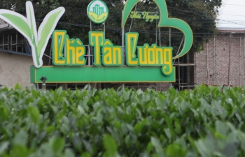 Xây dựng hạ tầng kinh tế tuần hoàn, kinh tế xanh - Động lực cho phát triển nhanh và bền vững