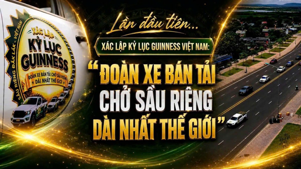 Đắk Lắk kỳ vọng lập kỷ lục Guinness với đoàn xe bán tải chở sầu riêng dài nhất thế giới