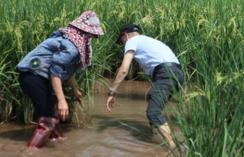 Kiến tạo hệ sinh thái nông nghiệp bền vững: Hành trình thuận tự nhiên và kinh tế tuần hoàn