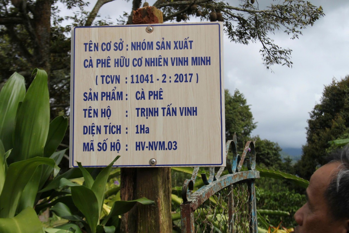Gần 20 năm bền bỉ vun trồng vườn cà phê hữu cơ dưới tán cây