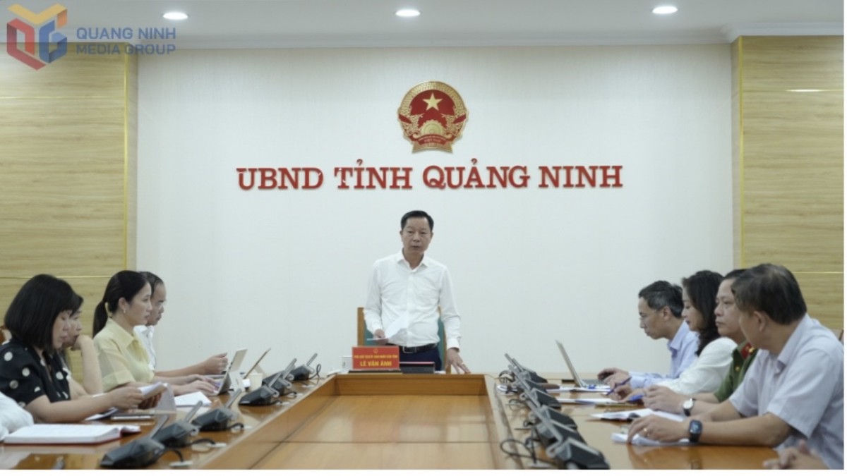 Ông Lê Văn Ánh, Phó Chủ tịch UBND tỉnh chỉ đạo tại cuộc họp. Ảnh:QMG