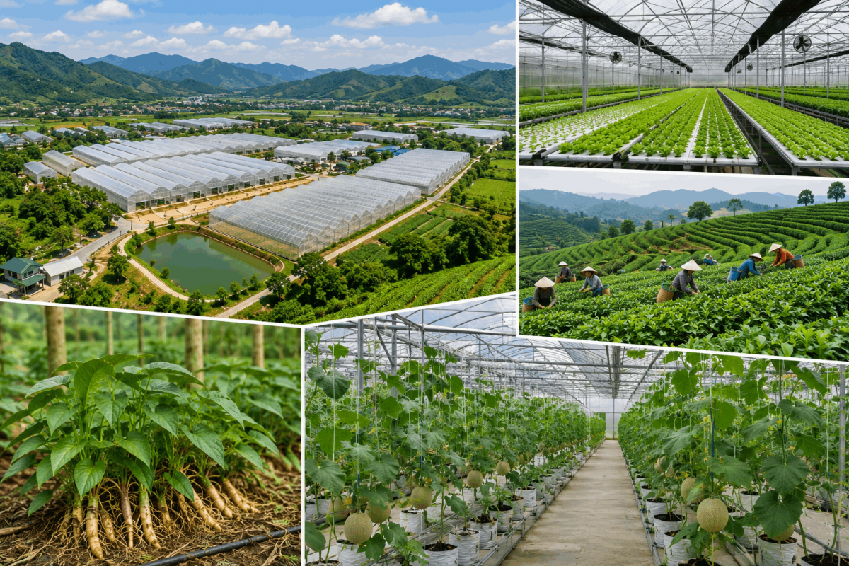 Bứt phá từ nông nghiệp xanh, mở rộng cơ hội thu hút đầu tư