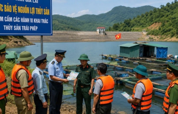 Gia Lai tăng cường bảo vệ nguồn lợi thủy sản tại hồ thủy điện, thủy lợi và hồ tự nhiên