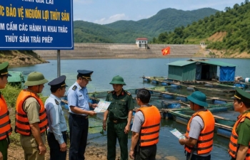 Gia Lai tăng cường bảo vệ nguồn lợi thủy sản tại hồ thủy điện, thủy lợi và hồ tự nhiên
