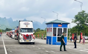 Phát triển kinh tế cửa khẩu gắn với quy hoạch, hạ tầng đồng bộ - Đòn bẩy để Phục Hoà bứt phá