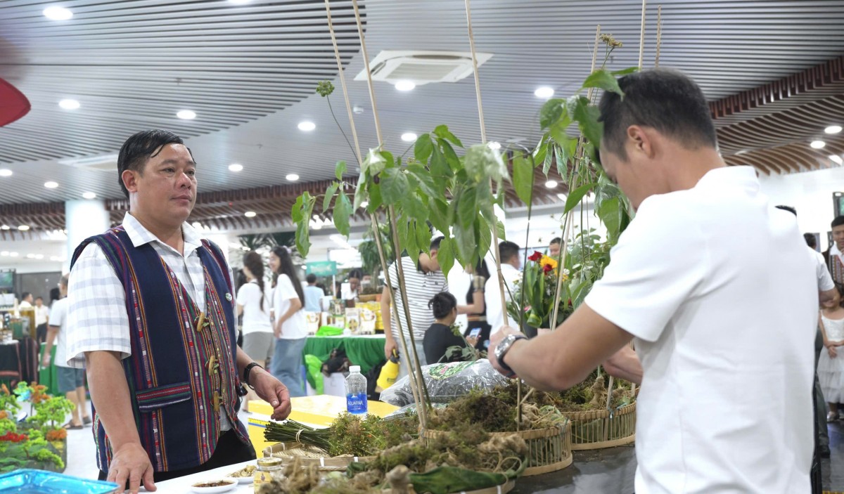Lễ hội Sâm Ngọc Linh và Dược liệu quốc tế Đà Nẵng 2026