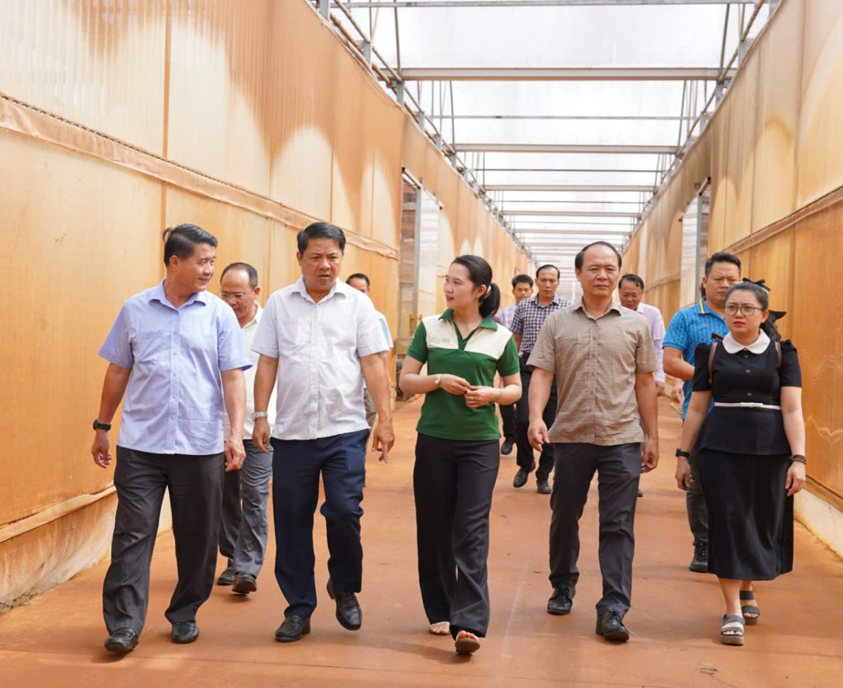 Bí thư Tỉnh ủy Đắk Lắk kiểm tra tế tiến độ các dự án thủy lợi, nông nghiệp trọng điểm