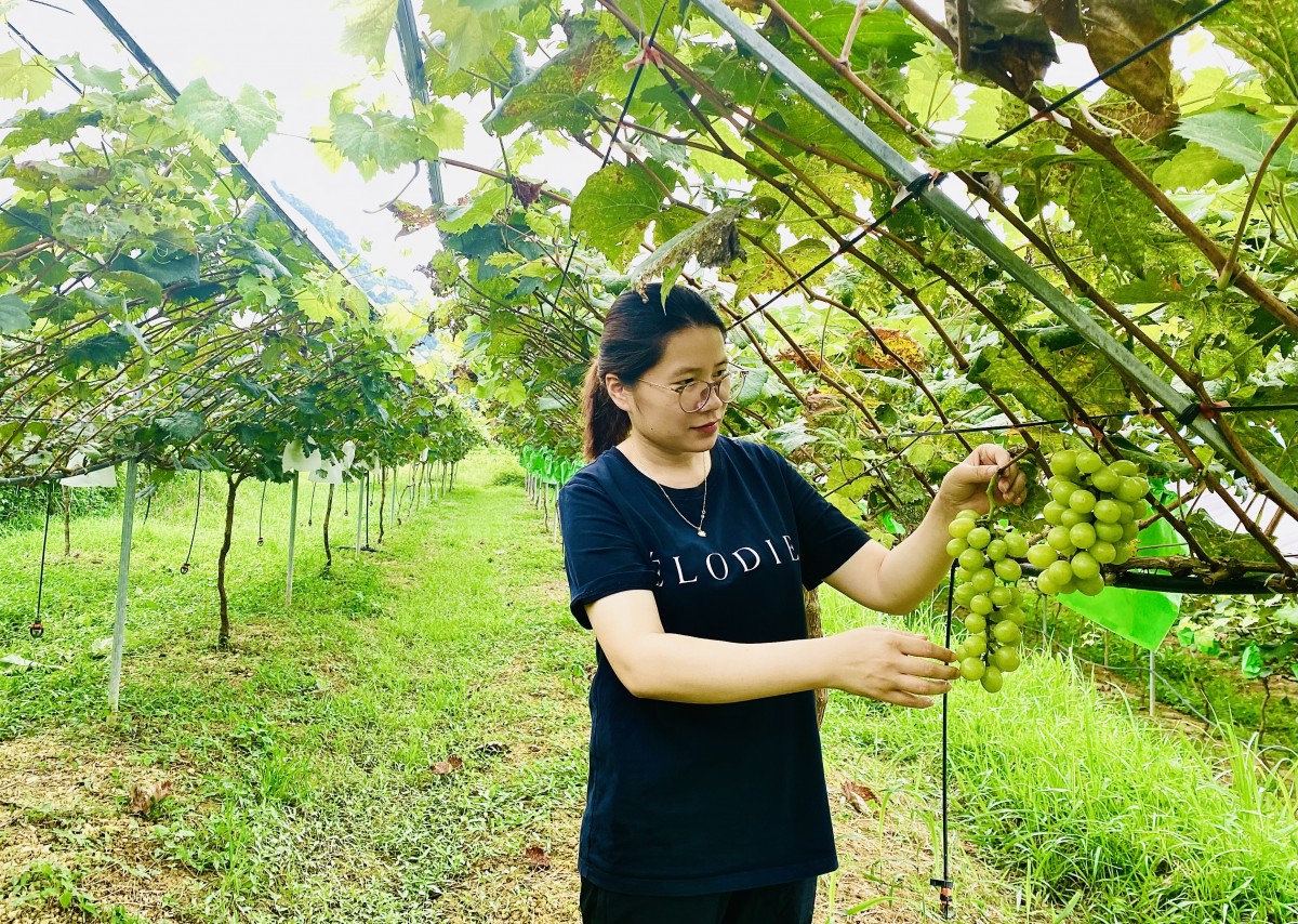 Lan toả giá trị nông nghiệp hữu cơ từ một gia đình cán bộ xã