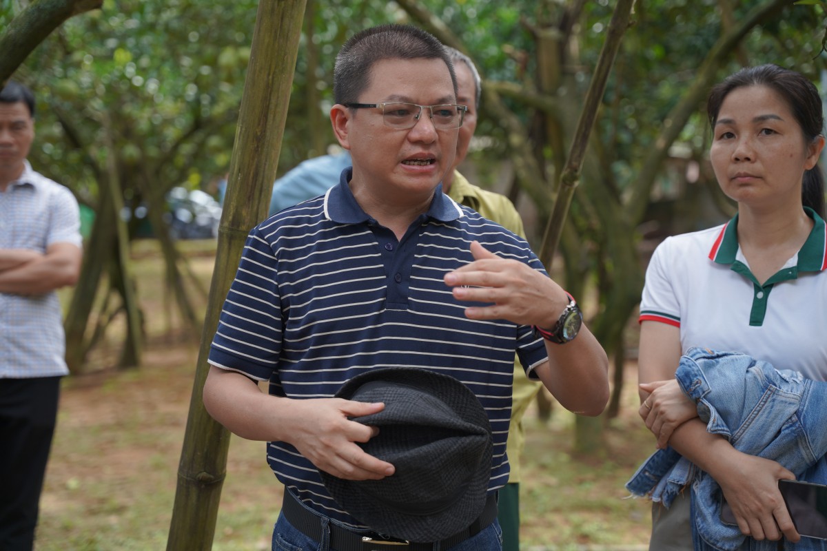 Ông Nguyễn Văn Lưu, Tổng Giám đốc Công ty Nông nghiệp Công nghệ cao Đồng Tâm, nhận định bưởi muốn tiếp cận thị trường xuất khẩu phải đồng đều về kích thước, chất lượng và quy trình canh tác.