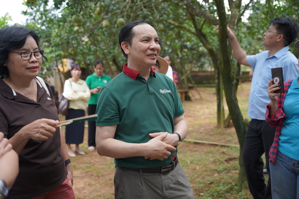 Ông Nguyễn Tiến Hưng, đại diện Chuỗi cửa hàng thực phẩm sạch BigGreen, cho rằng bưởi từ những cây lâu năm vẫn có cơ hội tại thị trường nội địa nếu bảo đảm chất lượng và minh bạch nguồn gốc.