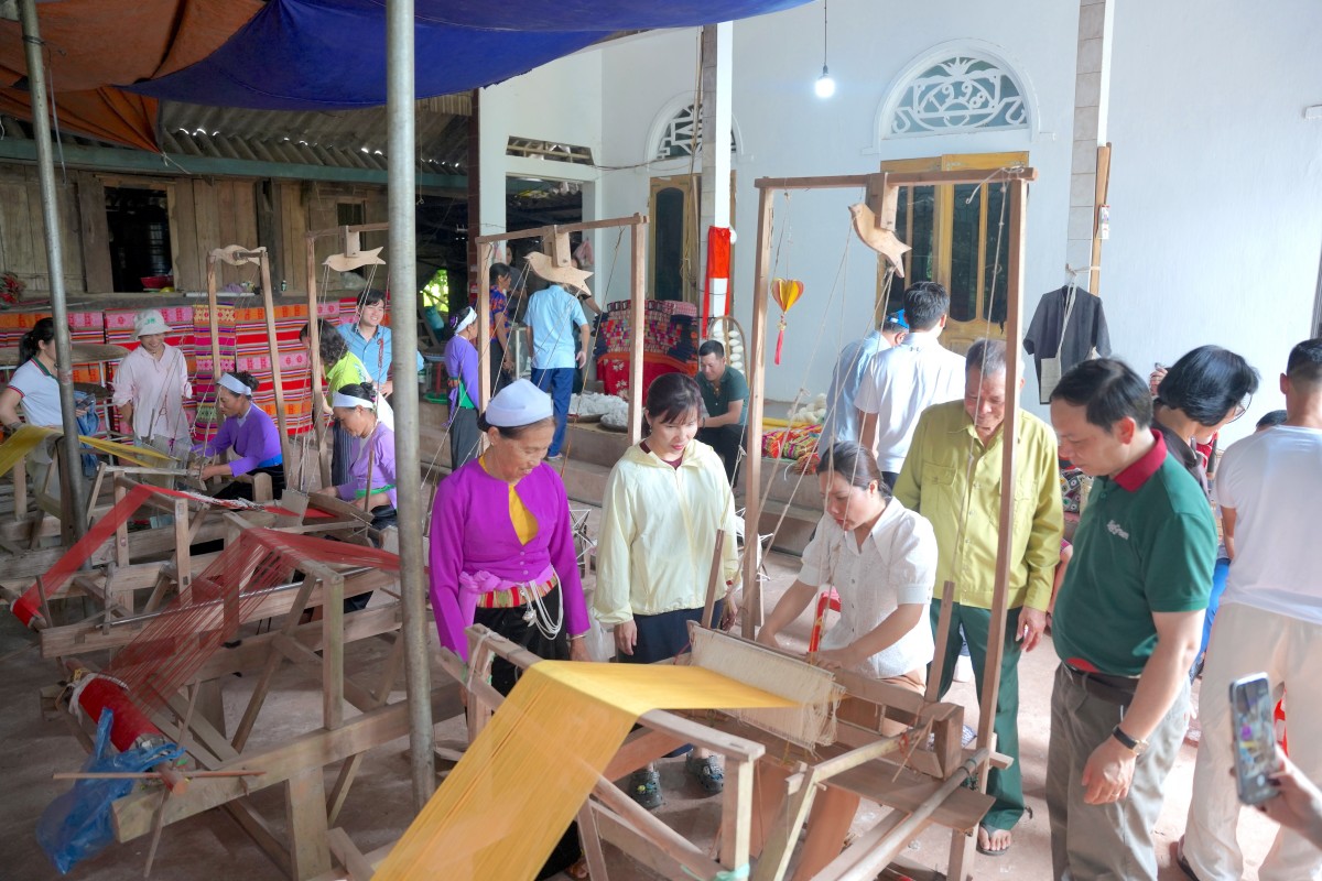 Kết nối tiêu thụ, tạo động lực cho sản phẩm nông sản Tân Lạc