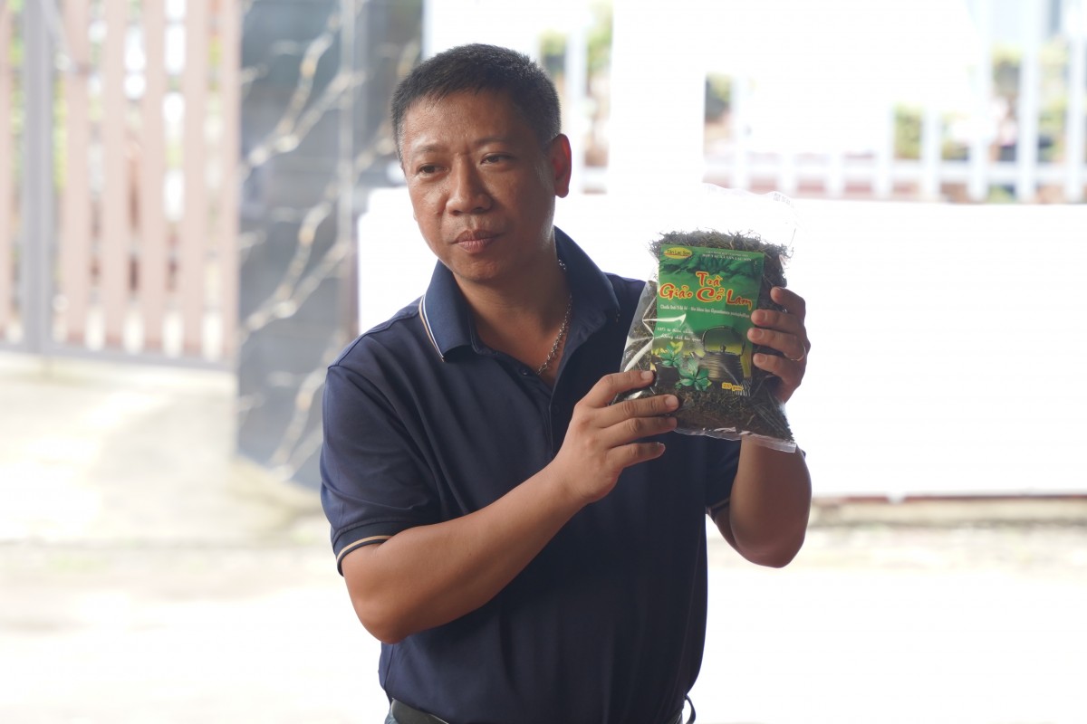 Ông Đỗ Trọng Hiệp, sáng lập viên Hợp tác xã Tân Lạc Sơn, giới thiệu quá trình phát triển sản phẩm trà giảo cổ lam.
