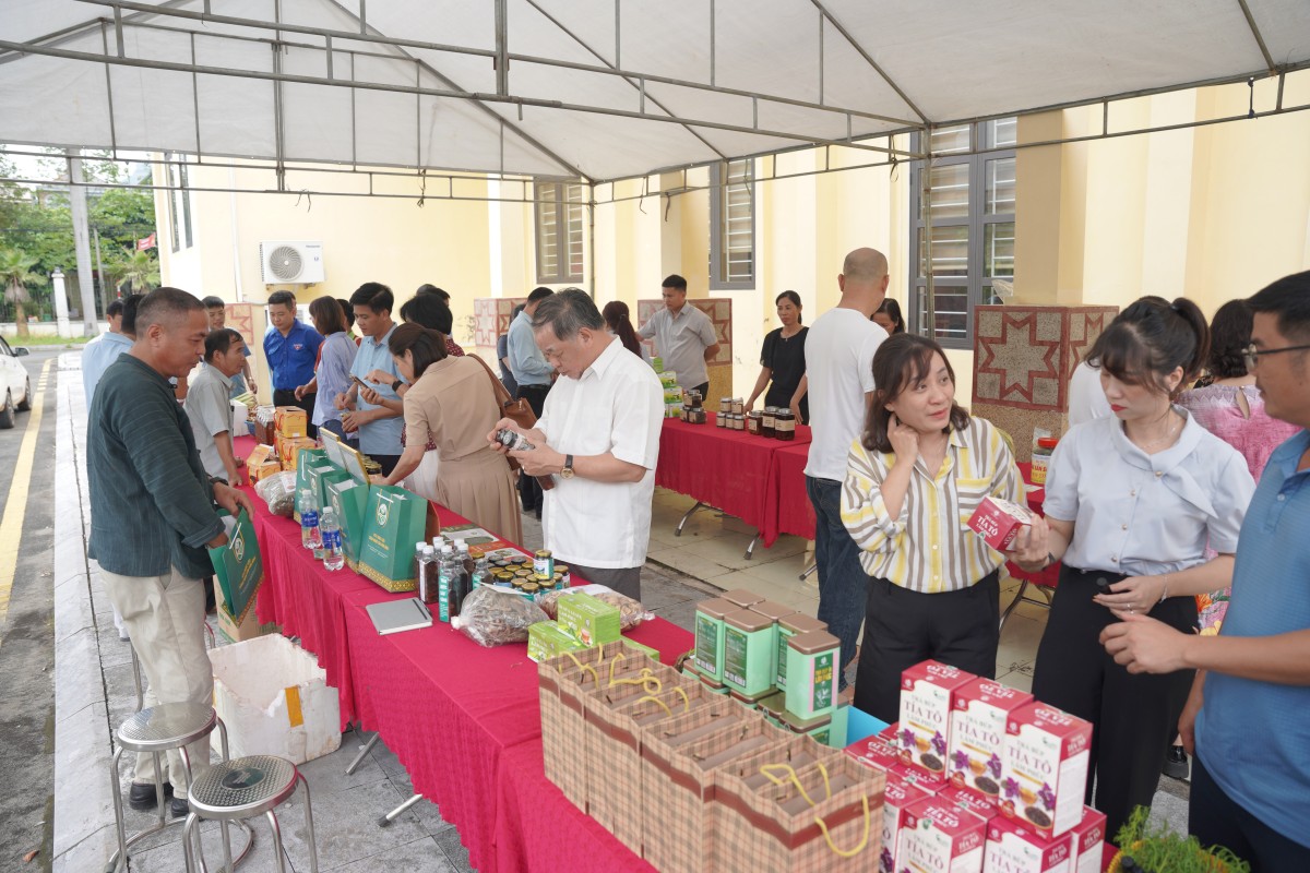Kết nối doanh nghiệp, củng cố nền tảng sản xuất hữu cơ tại Tân Lạc