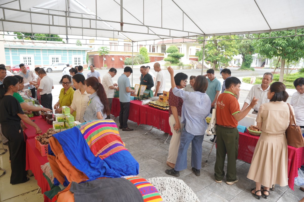 Kết nối doanh nghiệp, củng cố nền tảng sản xuất hữu cơ tại Tân Lạc