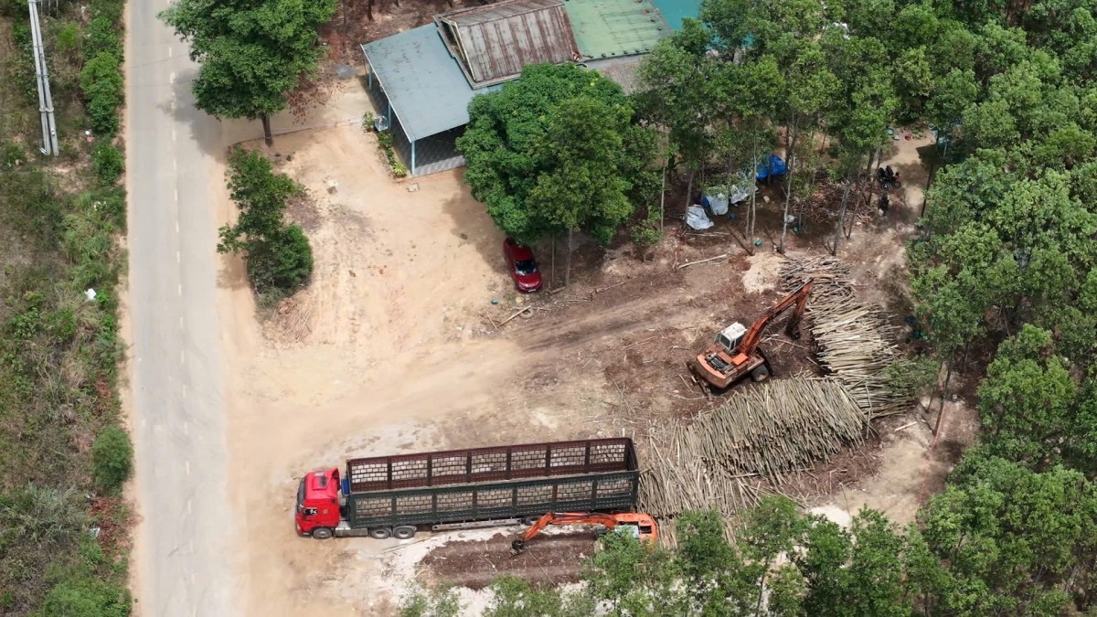 Quản lý các cơ sở thu mua, chế biến lâm sản tại xã Cồn Tiên (Quảng Trị): Gỡ vướng để phát triển bền vững
