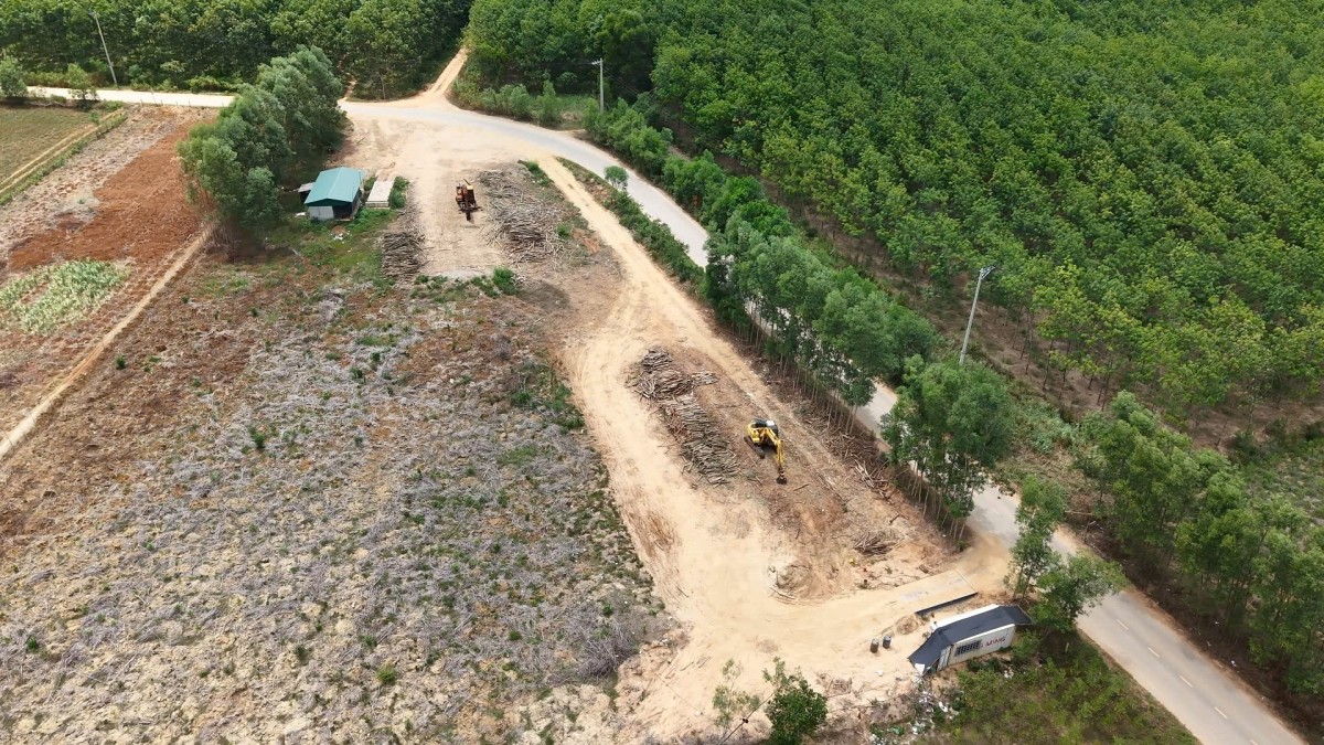 Quản lý các cơ sở thu mua, chế biến lâm sản tại xã Cồn Tiên (Quảng Trị): Gỡ vướng để phát triển bền vững