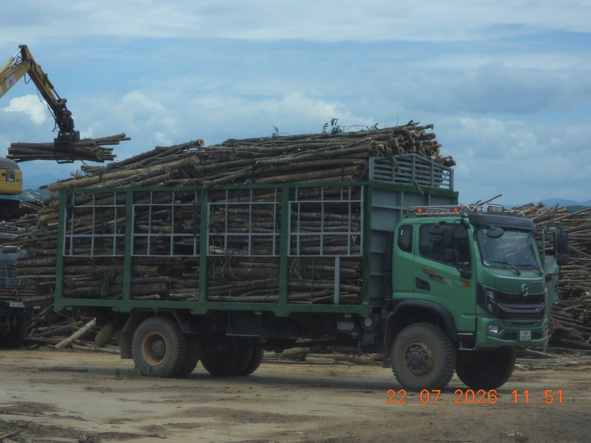 Quản lý các cơ sở thu mua, chế biến lâm sản tại xã Cồn Tiên (Quảng Trị): Gỡ vướng để phát triển bền vững